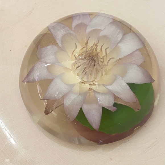 Vintage Lucite Dried Flower Domed Desk Paperweight Clear Plastic Acrylic Decor - Picture 7 of 14